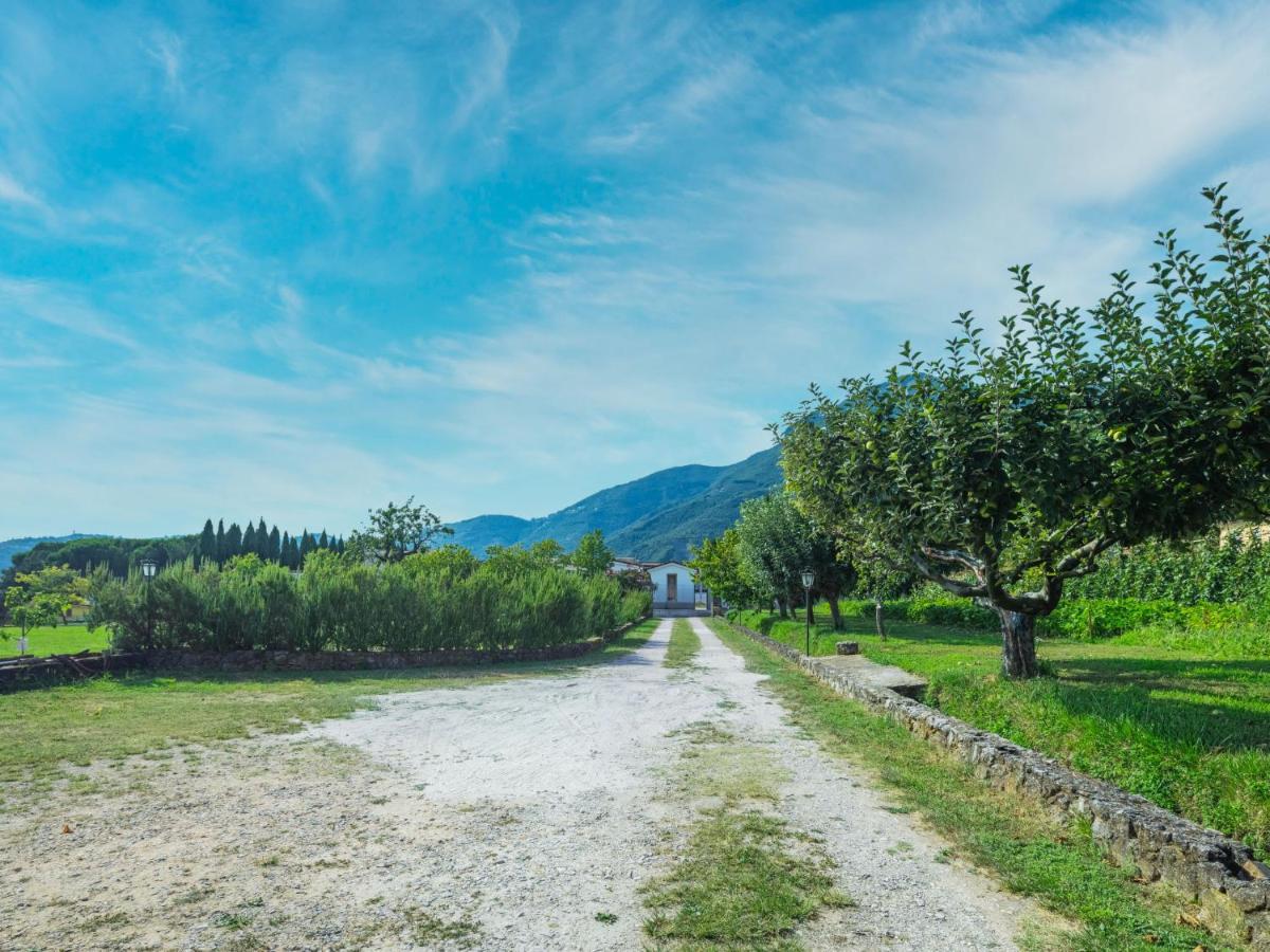 Villa Locazione Turistica I Pioppi - CMA107 Camaiore Esterno foto